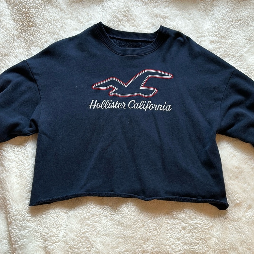 Hollister Sweater